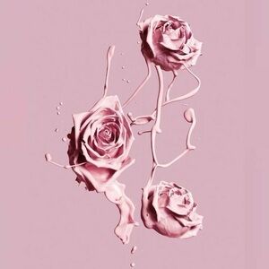 Meet your Posher, Melody